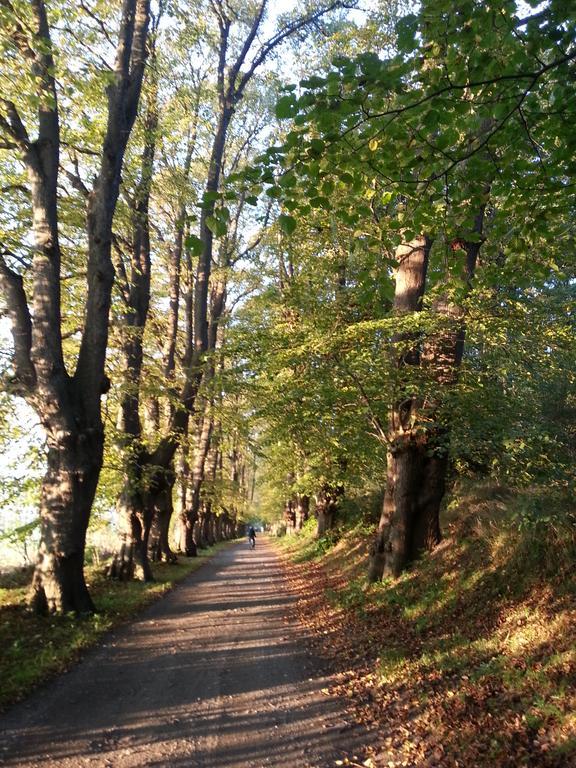 Ferienwohnungen Ruegen Findling Бреґе Екстер'єр фото
